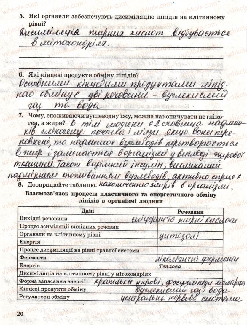 фото задание стр20 - практична робота 1. складання схем обміну