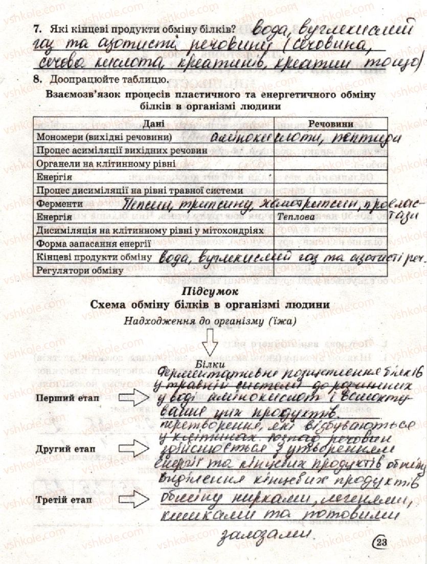 фото задание стр23 - практична робота 1. складання схем обміну