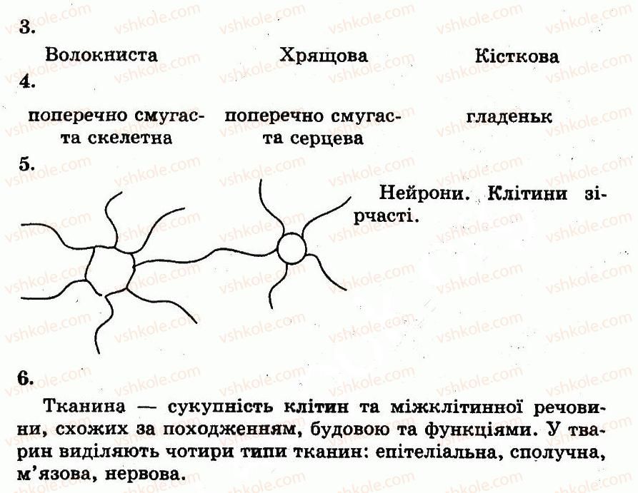 фото задание лр11 - лабораторні роботи
