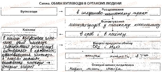 фото задание 2 - урок 28 - тема 2. обмін речовин і перетворення енергії