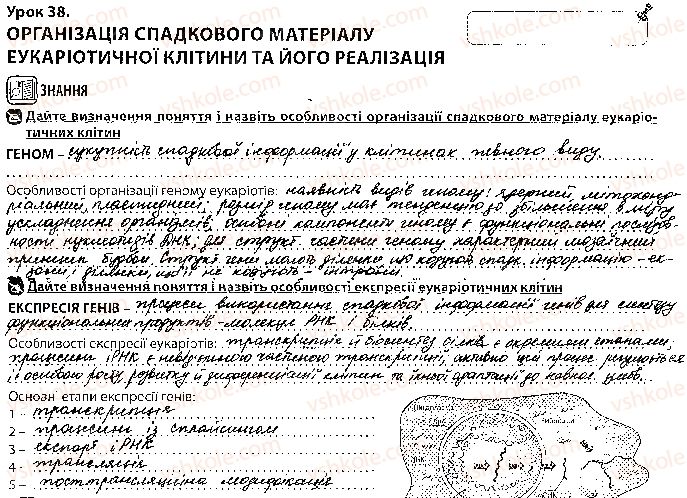 фото задание 1 - урок 38 - тема 3. спадковість і мінливість