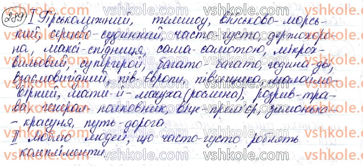 фото задание 289 - § 32. написання складних слів - орфоепічна й орфографічна норми