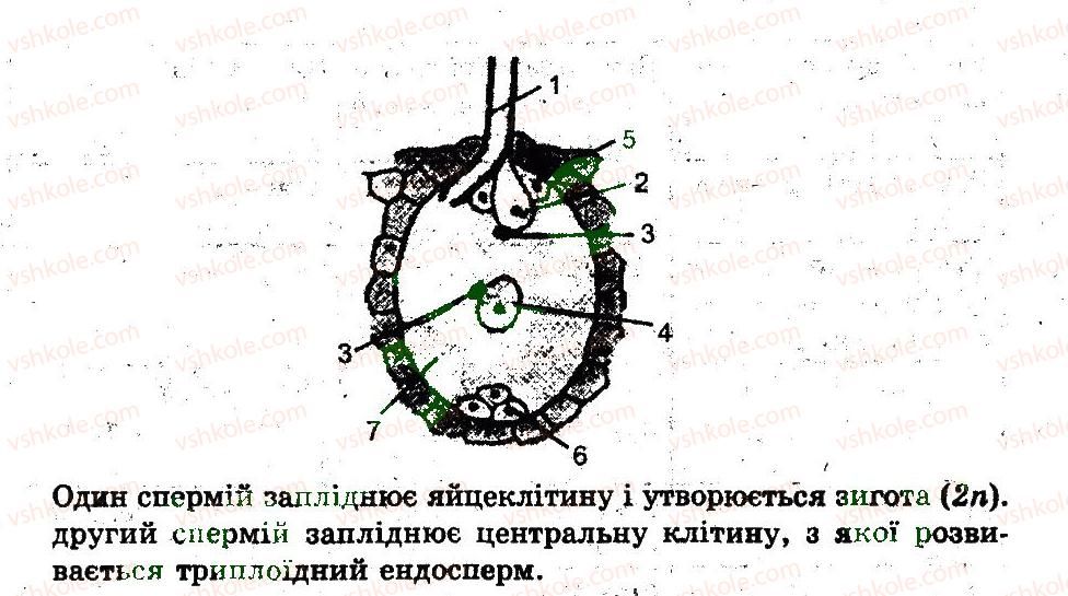 фото задание 7 - варіант 3 - розмноження організмів