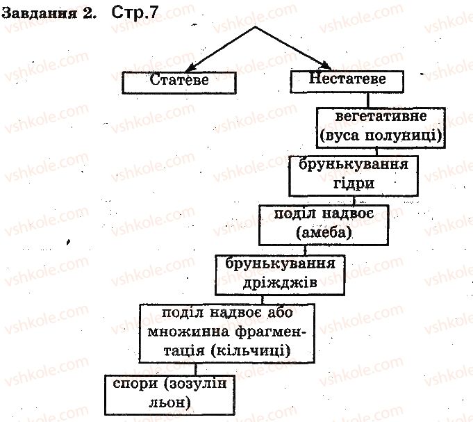 фото задание ст7 - розмноження організмів