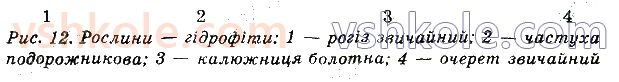 фото задание стр17 - практична робота №1. визначення ознак адаптованості