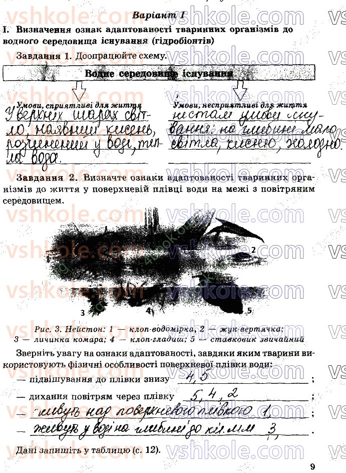 фото задание стр9 - практична робота №1. визначення ознак адаптованості