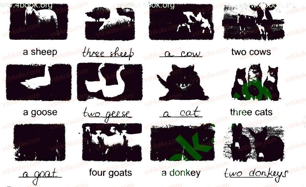 фото задание 2 - lesson 4 - unit 5. animals / тварини