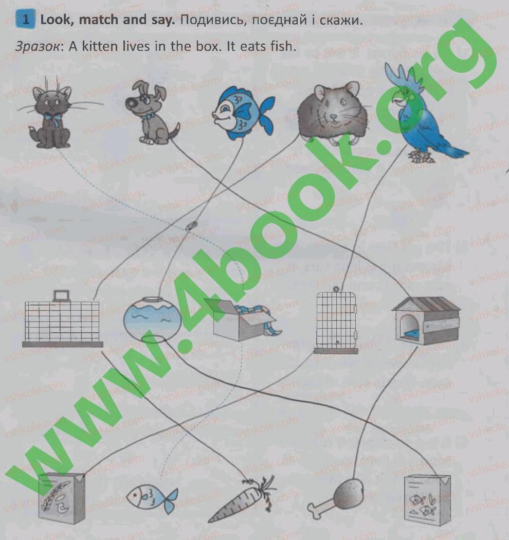 фото задание 1 - lesson 2 - unit 5. animals / тварини