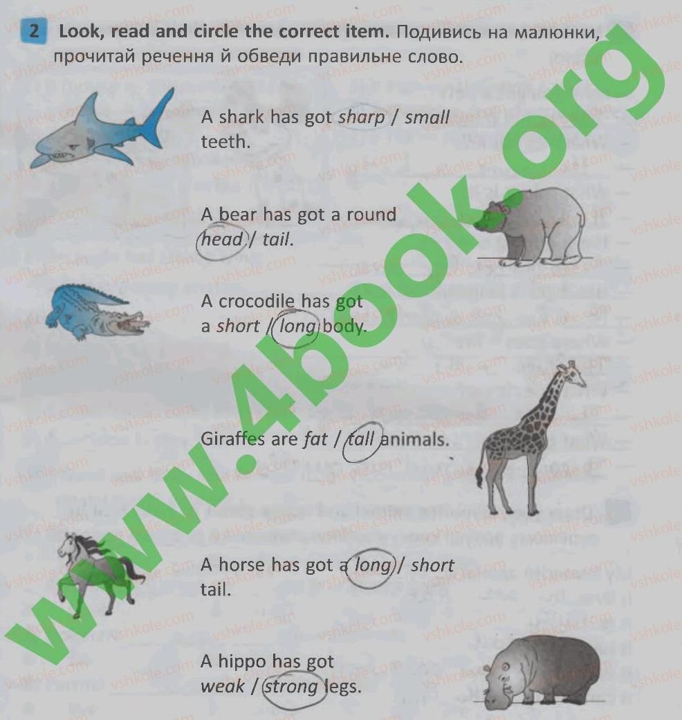 фото задание 2 - lesson 7 - unit 5. animals / тварини