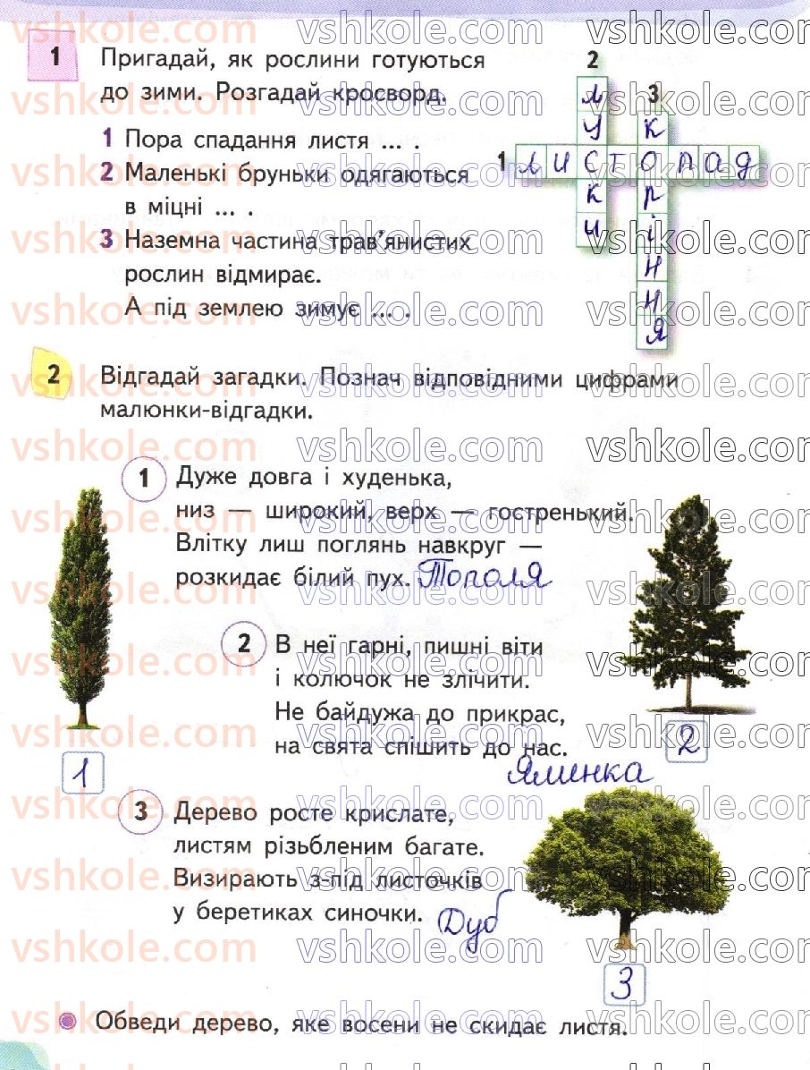 фото задание стр44 - сторінки 41-63