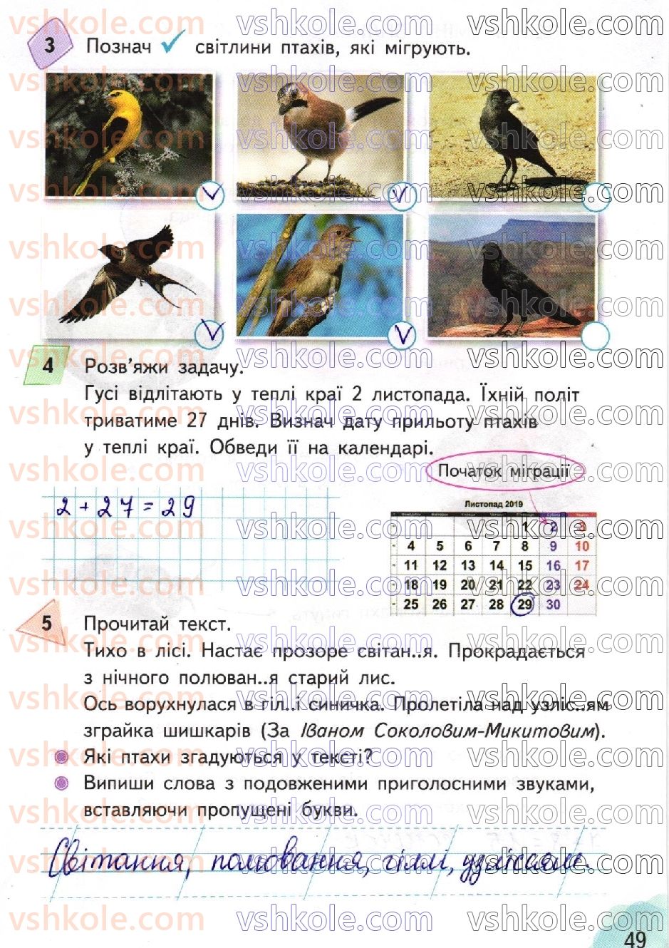 фото задание стр49 - сторінки 41-63