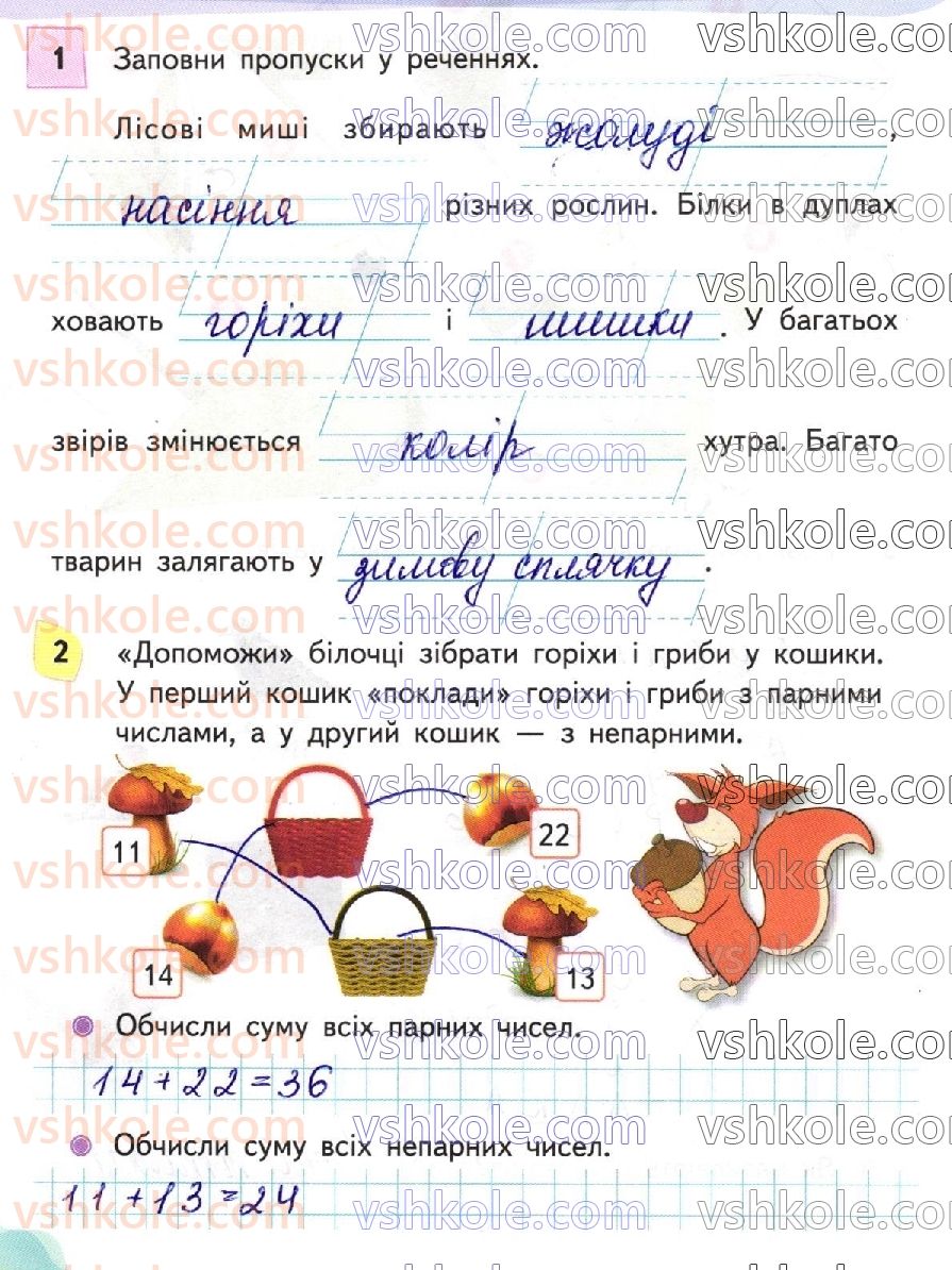 фото задание стр56 - сторінки 41-63