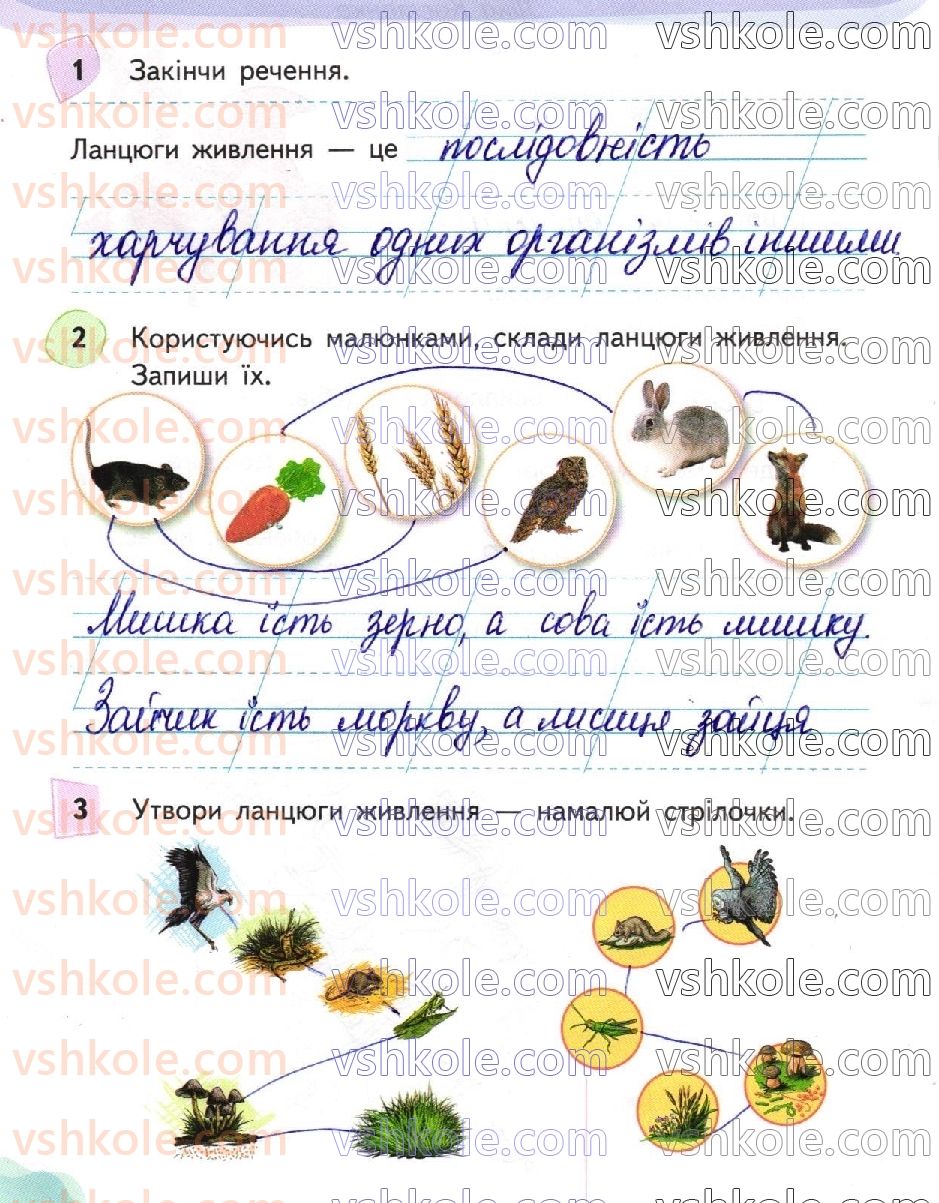 фото задание стр58 - сторінки 41-63