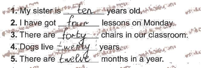 фото задание 3 - lesson 4 - unit 3. meet my family