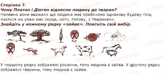 фото задание 7 - завдання зі сторінок 4-20