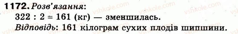 фото задание 1172 - повторення вивченого за рік