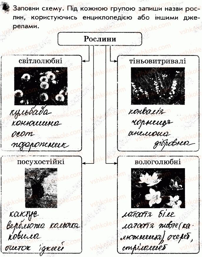 фото задание 4 - сторінка 34 - відповіді зі сторінок 31-40