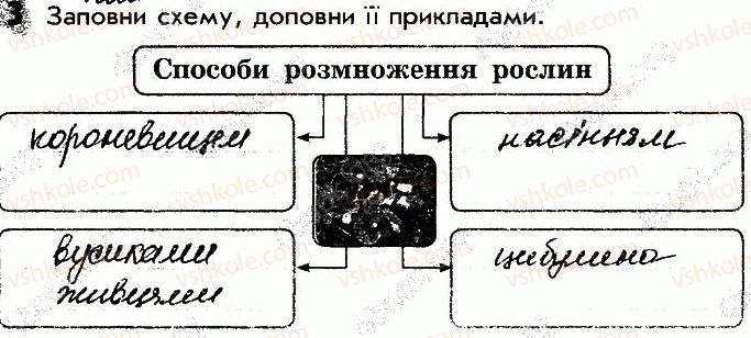 фото задание 3 - сторінка 36 - відповіді зі сторінок 31-40