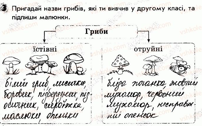 фото задание 3 - сторінка 47 - відповіді зі сторінок 46-64