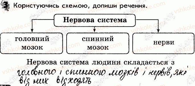 фото задание 3 - сторінка 54 - відповіді зі сторінок 46-64