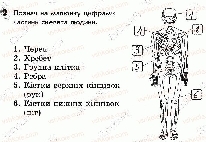 фото задание 2 - сторінка 56 - відповіді зі сторінок 46-64