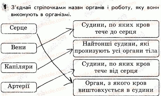 фото задание 1 - сторінка 61 - відповіді зі сторінок 46-64