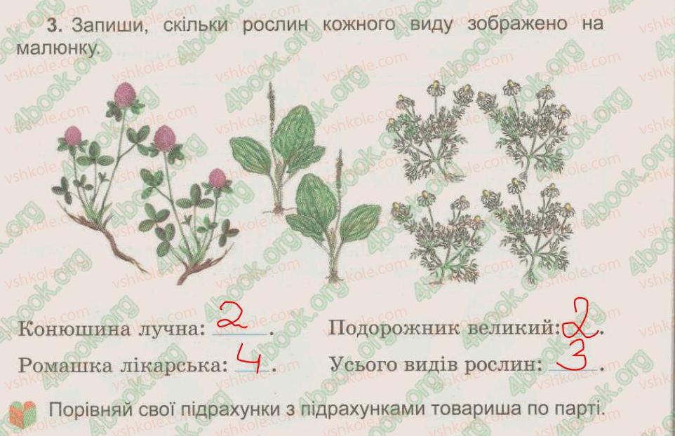 фото задание 3 - § 23. різноманітність рослин - тема 5. рослини, тварини і їх середовища життя