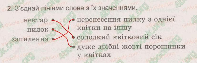 фото задание 2 - § 25. квіткові рослини. розмноження квіткових рослин - тема 5. рослини, тварини і їх середовища життя