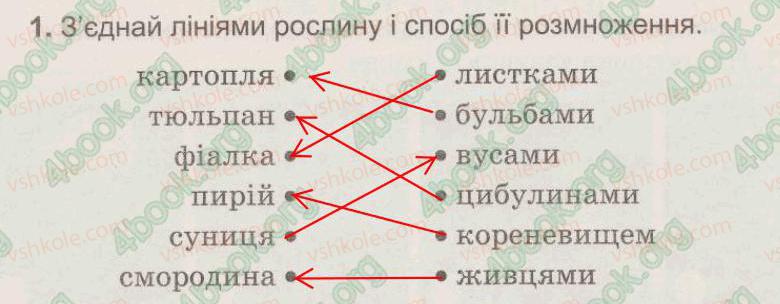 фото задание 1 - § 27. як виростити нову рослину без насіння - тема 5. рослини, тварини і їх середовища життя