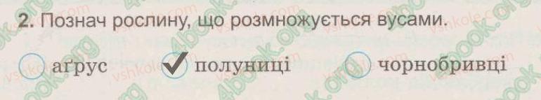 фото задание 2 - § 27. як виростити нову рослину без насіння - тема 5. рослини, тварини і їх середовища життя