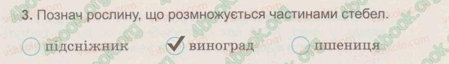 фото задание 3 - § 27. як виростити нову рослину без насіння - тема 5. рослини, тварини і їх середовища життя