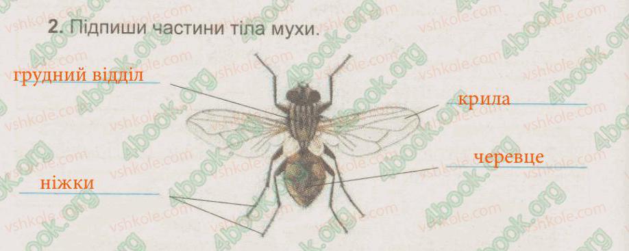 фото задание 2 - § 32. комахи - тема 5. рослини, тварини і їх середовища життя