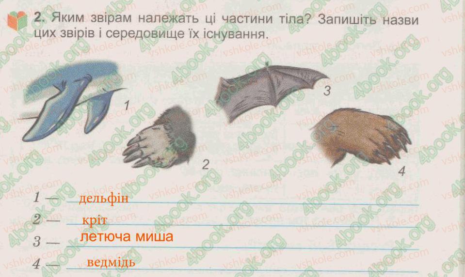 фото задание 2 - § 34. птахи - тема 5. рослини, тварини і їх середовища життя