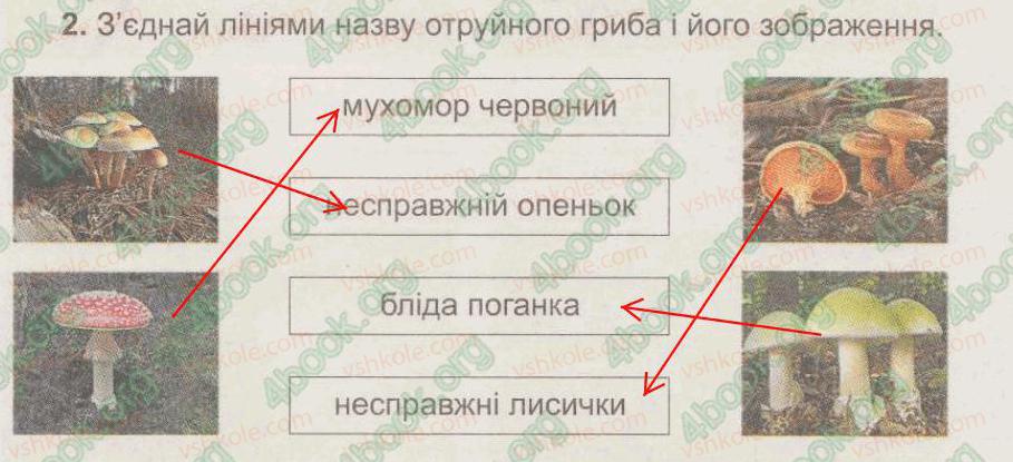 фото задание 2 - § 38. гриби – організми. значення грибів для природи - тема 5. рослини, тварини і їх середовища життя