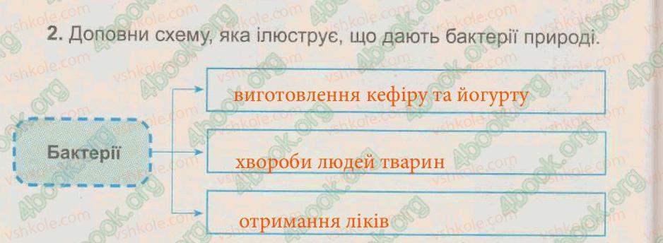 фото задание 2 - § 40. бактерії - тема 5. рослини, тварини і їх середовища життя