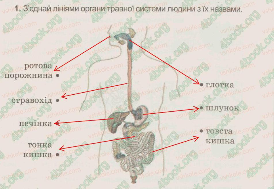 фото задание 1 - § 49. травна система - тема 6. людина та її організм