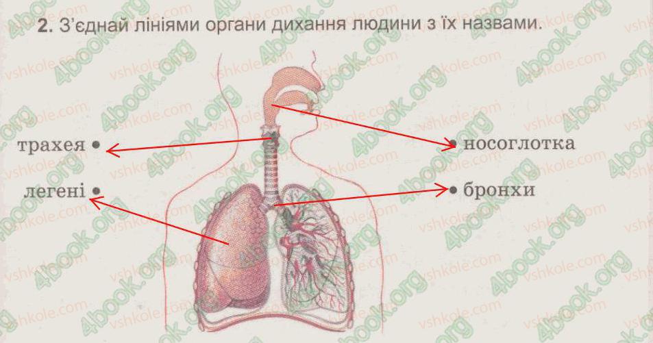 фото задание 2 - § 51. дихальна система - тема 6. людина та її організм