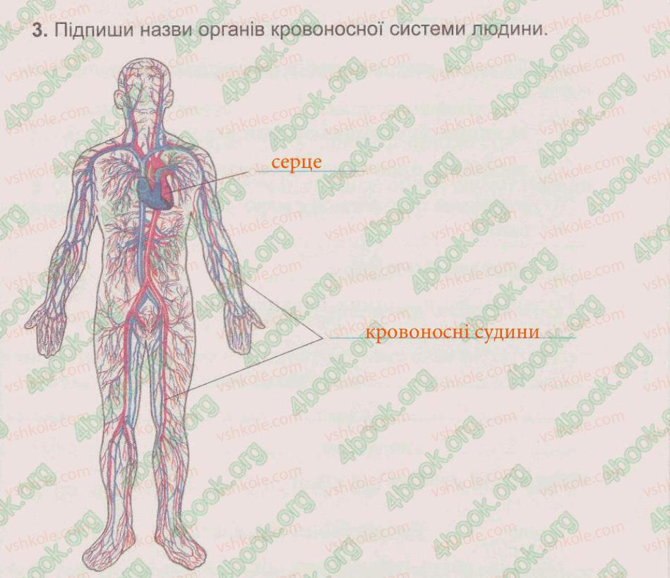 фото задание 3 - § 52. кровоносна система - тема 6. людина та її організм