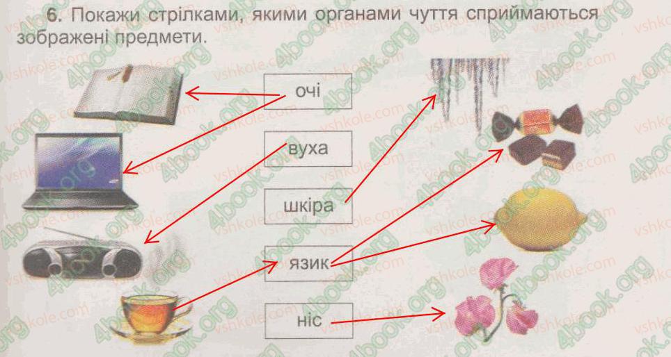 фото задание 6 - § 54. органи чуття. гігієна органів чуття - тема 6. людина та її організм