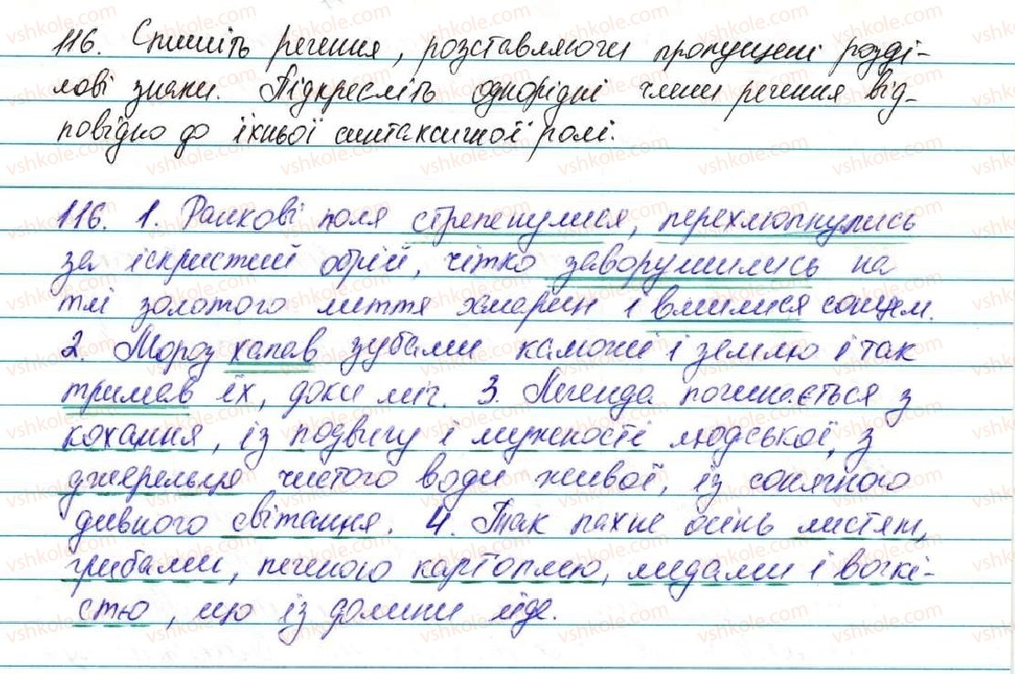 фото задание 116 - § 14. речення з однорідними членами - відомості із синтаксису та пунктуації