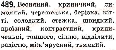 фото задание 489 - § 60. фонетика. орфоепія. графіка. орфографія - повторення й узагальнення вивченого в п'ятому класі