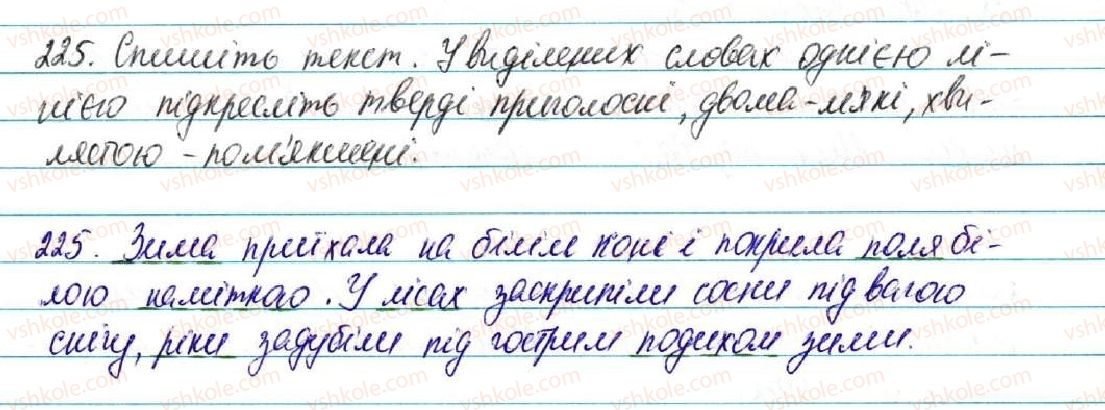 фото задание 225 - § 24. приголосні тверді і м'які - фонетика. графіка. орфоепія. орфографія