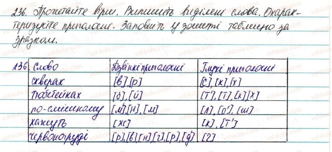 фото задание 236 - § 25. дзвінкі і глухі приголосні - фонетика. графіка. орфоепія. орфографія