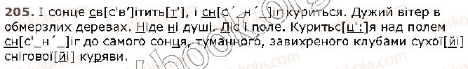 фото задание 205 - § 20. приголосні тверді й м’які - фрнетика. графіка. орфоепія. орфографія