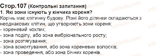 фото задание 1 - § 24. будова і функції кореня - тема 3. квіткова рослина