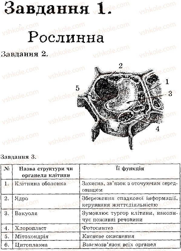 фото задание в1 - будова рослинної і тва­ринної клітини - тема 1. клітина