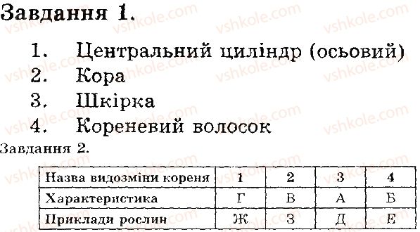 фото задание в2 - будова і видозміни кореня - тема 3. рослини