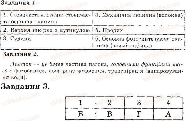 фото задание в1 - будова листка - тема 3. рослини