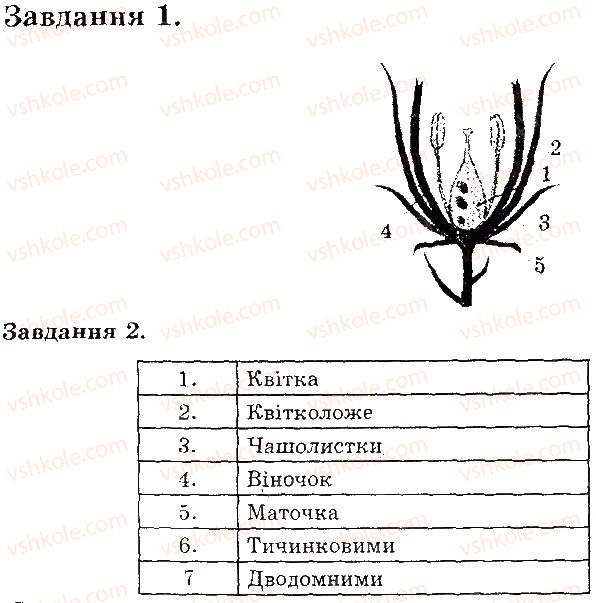 фото задание в1 - квітка - тема 3. рослини