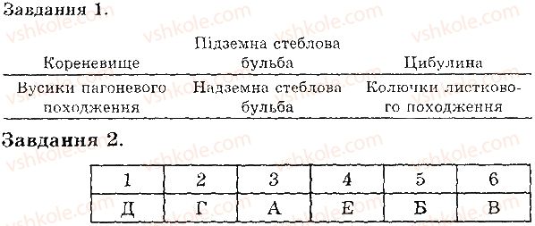 фото задание в1 - видозміни пагона та його частин - тема 3. рослини
